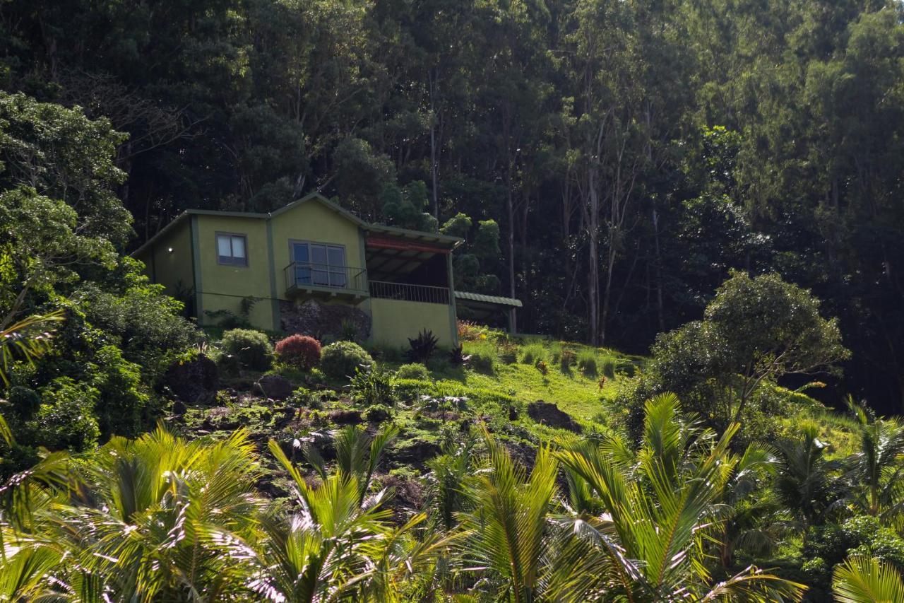 The Green Shack Quatre Soeurs Buitenkant foto